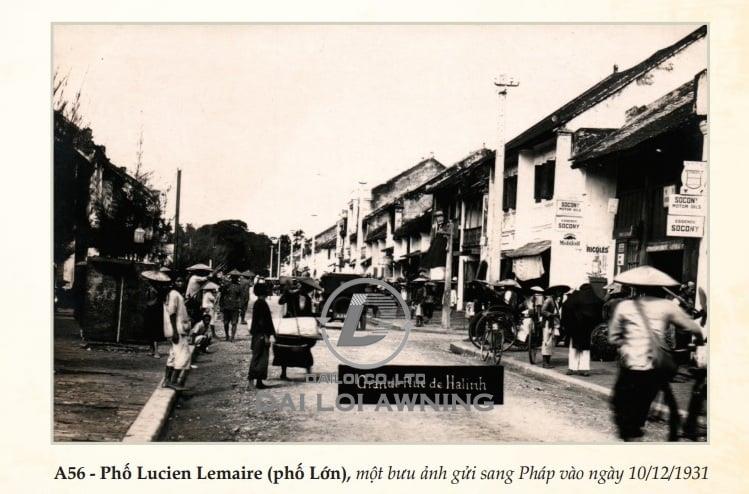y nghia ten goi phuong thanh sen_thanh sen hat tinh _mai bat dai loi_bat xep thanh sen_dailoi.jpg
